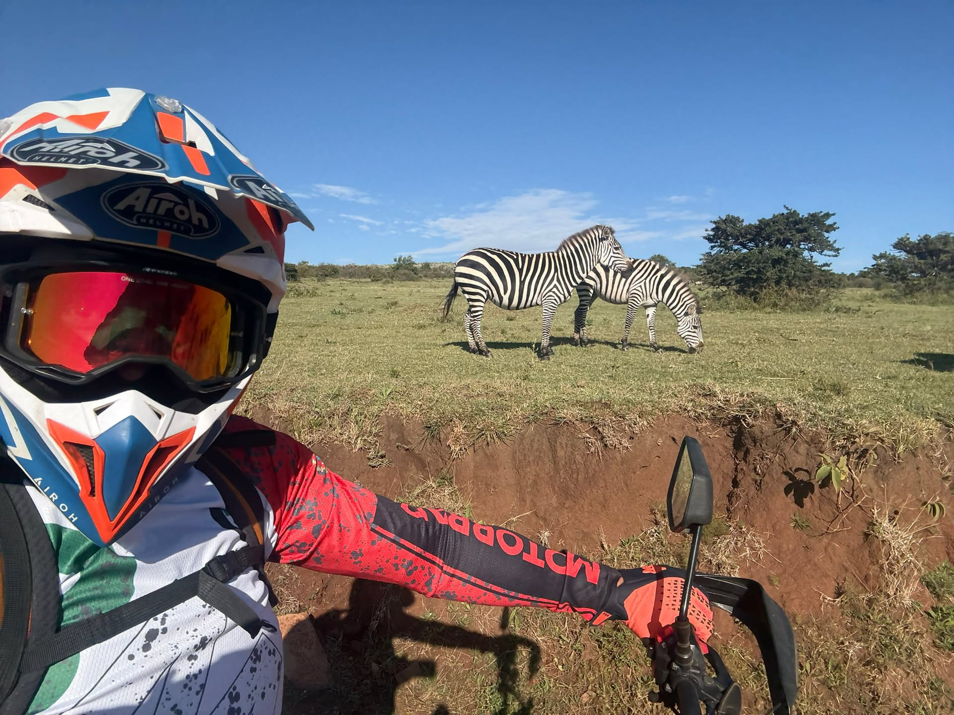 Selfie con casco junto a dos cebras pastando cerca de la ruta